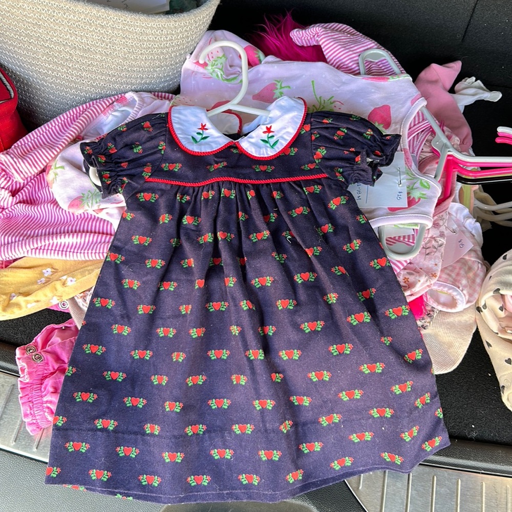 TBBC Holly Day Flannel Dress